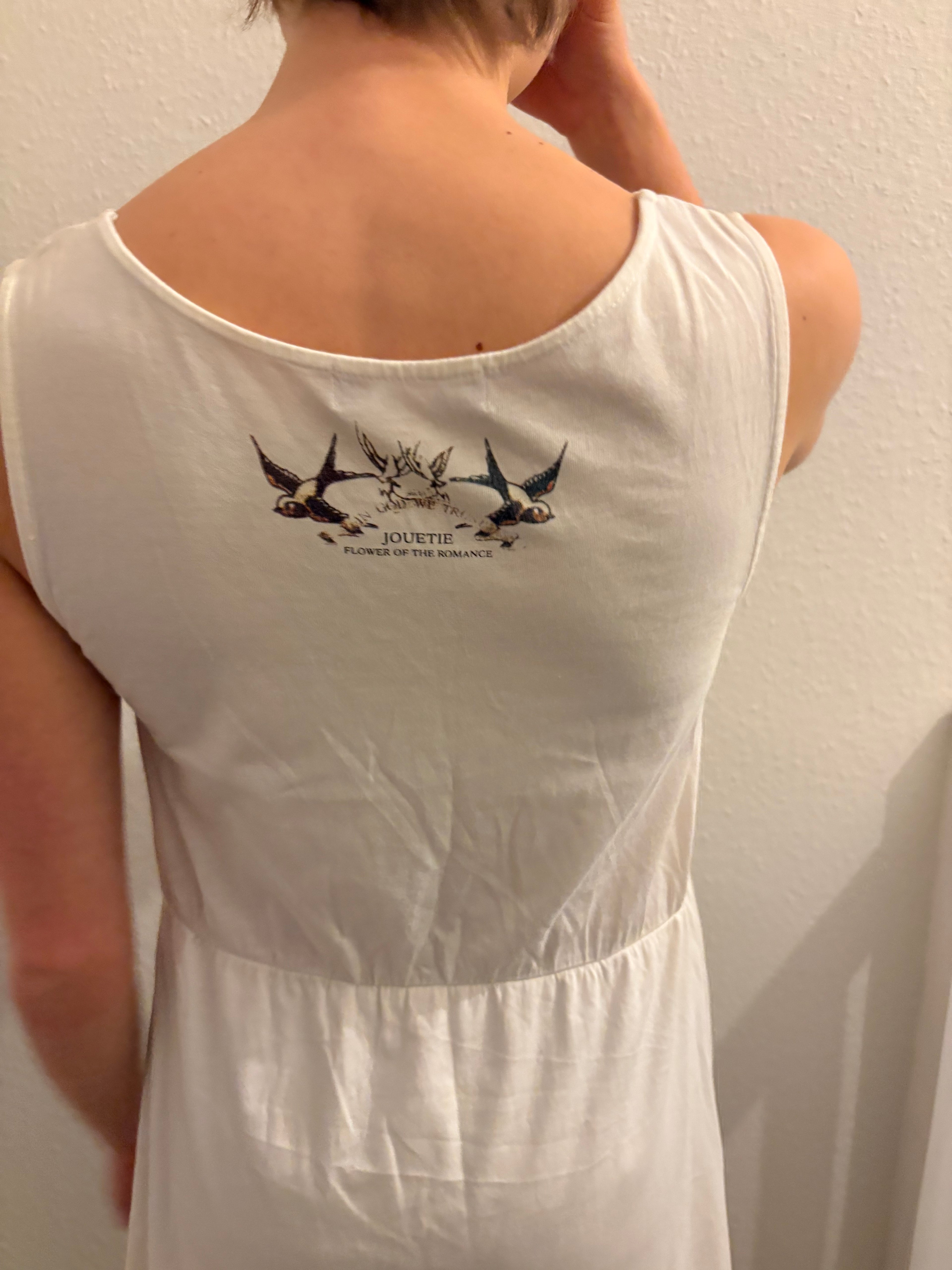 Japanese Vintage Jesus + Bird Graphic Skater Dress