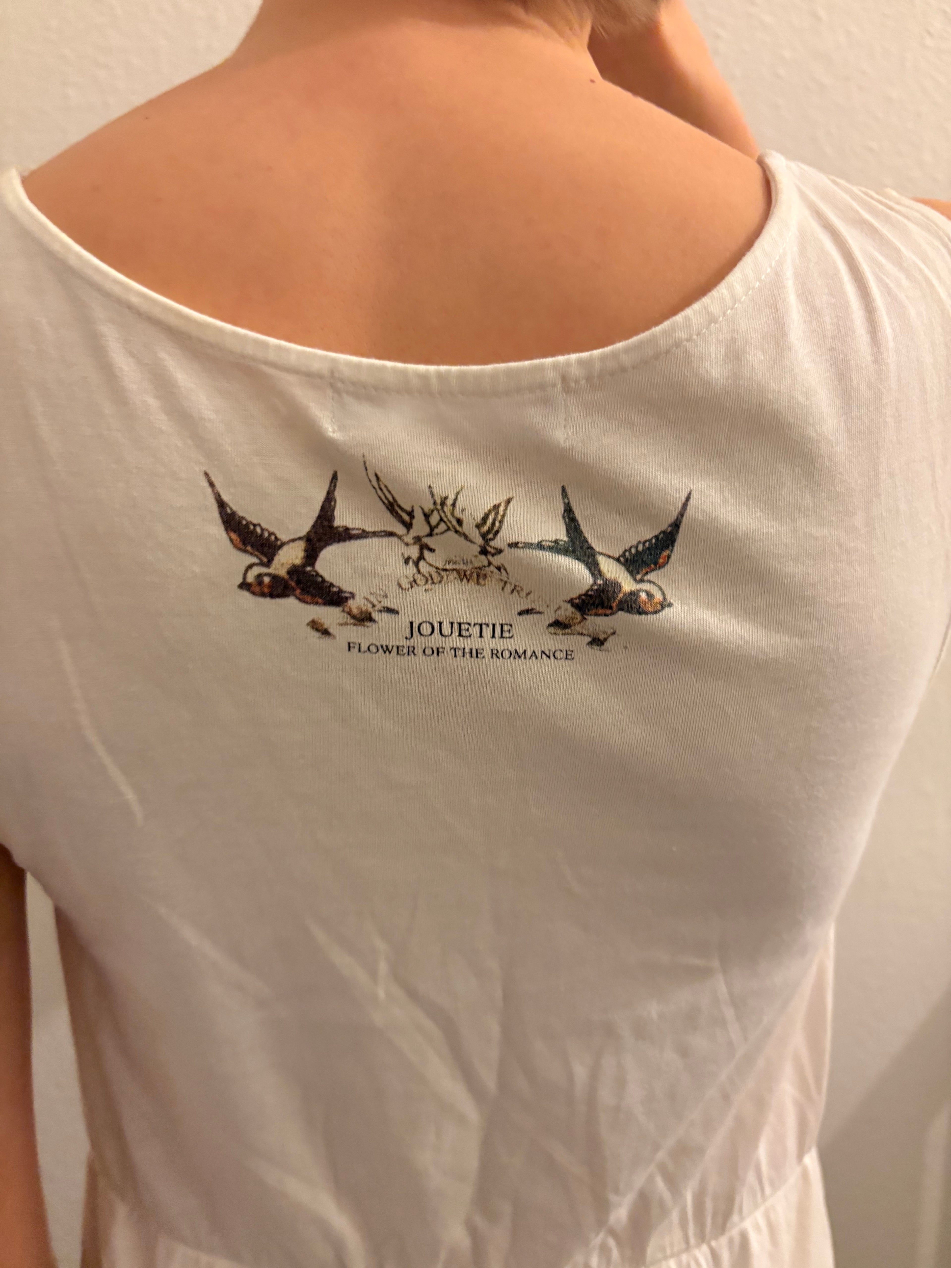 Japanese Vintage Jesus + Bird Graphic Skater Dress